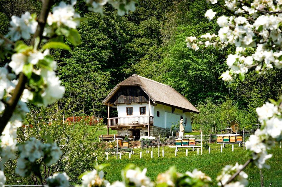 400 Jahre altes Weinzierlhaus "Sandstöckl" in Gnas - Impression #1 | © Christian Karner