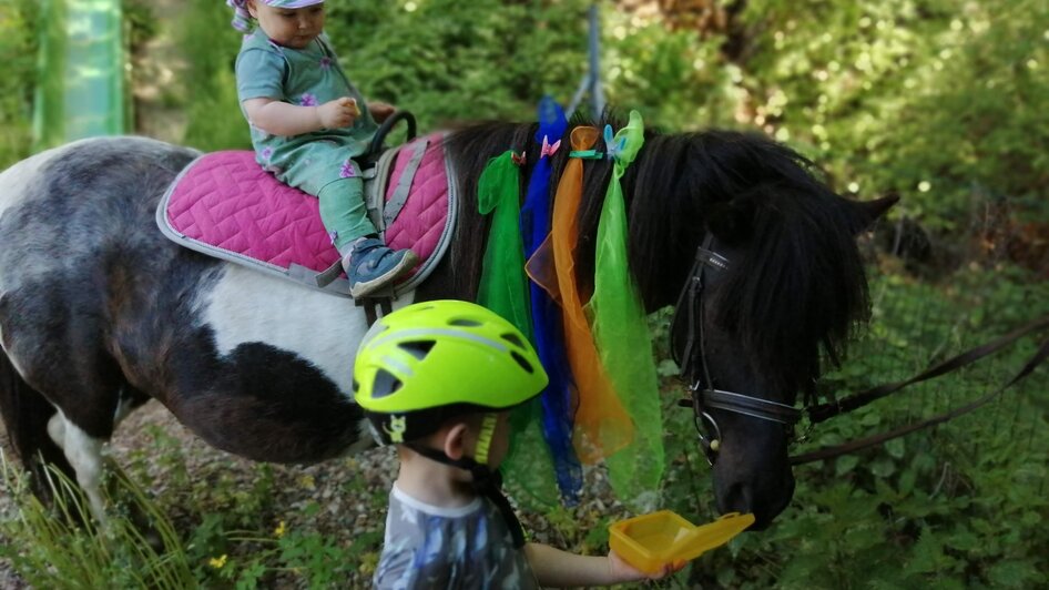 ABC-Hufis-Reiten1-Murtal-Steiermark | © ABC-Hufis