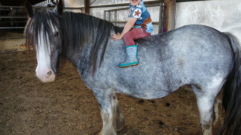 ABC-Hufis-Reiten6-Murtal-Steiermark | © ABC-Hufis