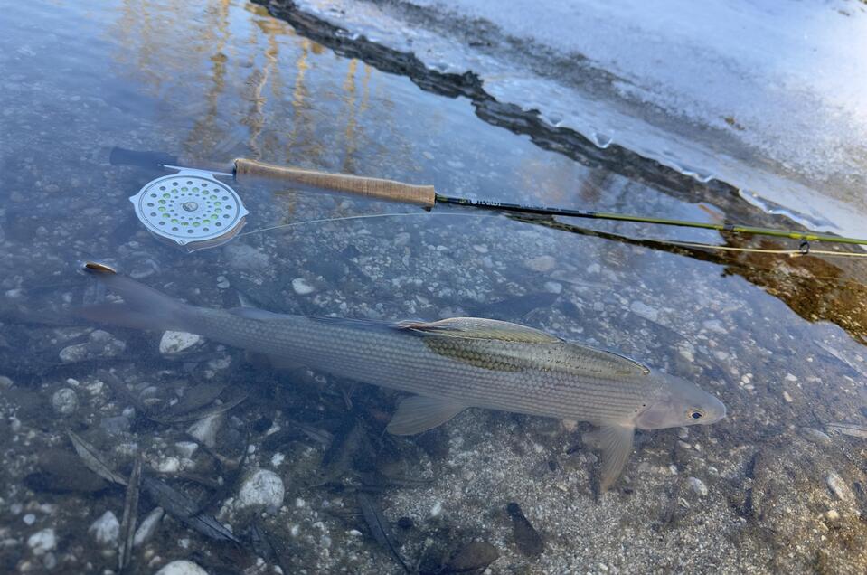Active Fishing - Impression #1