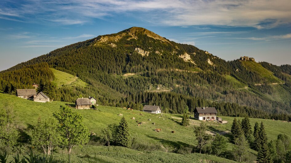 Die Turnaueralm