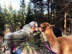 SchlossThann-Alpaka1-Murtal-Steiermark | © Sandrina Attems-Wimpffen