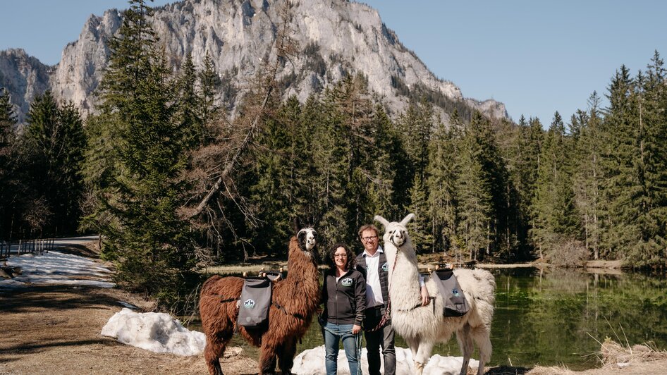 Mit Lamas unterwegs | Sternenglueckfotografie | © Alpakas, Lamas und Rentiere zum Grünen See Mit Lamas unterwegs | © Alpakas, Lamas und Rentiere zum Grünen See