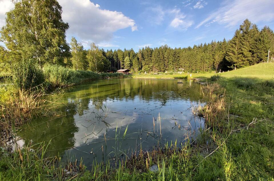 Angeln am  Fischteich Passail - Impression #1 | © Tourismusverband Oststeiermark