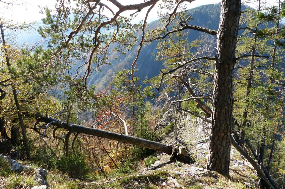 View Point "Am Sattel" - Impression #1 | © Oststeiermark Tourismus