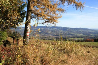 Jochbauerhöhe_View_Eastern Styria | © Hermann Auerbäck