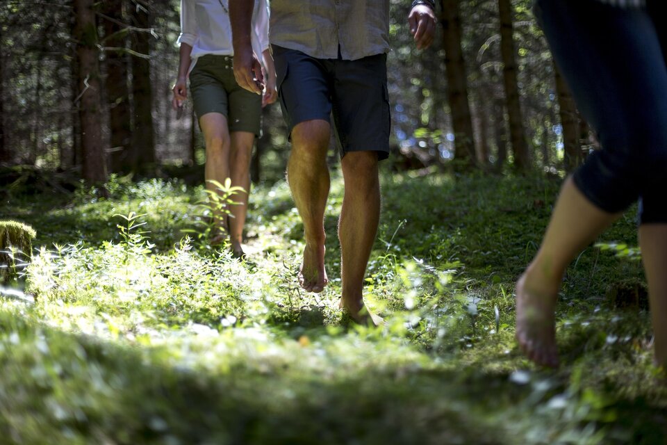 Auszeit Moarhube - Impression #1 | © Steiermark Tourismus