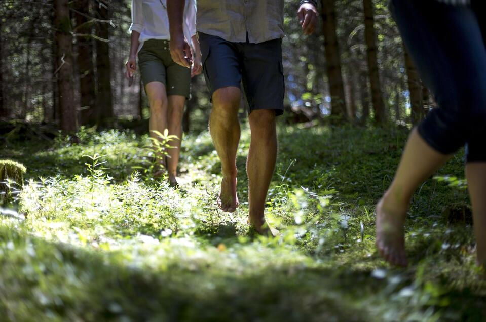 Auszeit Moarhube - Impression #1 | © Steiermark Tourismus
