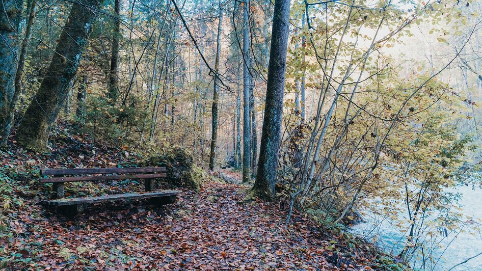 Wandern rund um Sankt Gallen im Naturpark