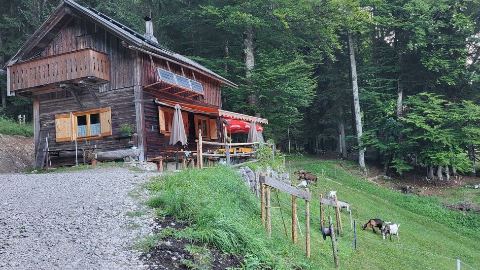 Bärnmoos, Bad Aussee, Jausenhütte | © TVB Ausseerland Salzkammergut/Petra Kirchschlager