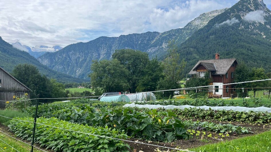 BIOHOF Thomanhansla, Bad Aussee | © TVB Ausseerland Salzkammergut/Gabi Grill