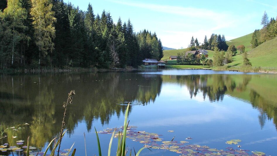 Badesee in Krakaudorf | © Badesee Krakaudorf