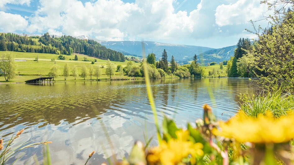 Badesee Mühlen | © Tourismusverband Murau