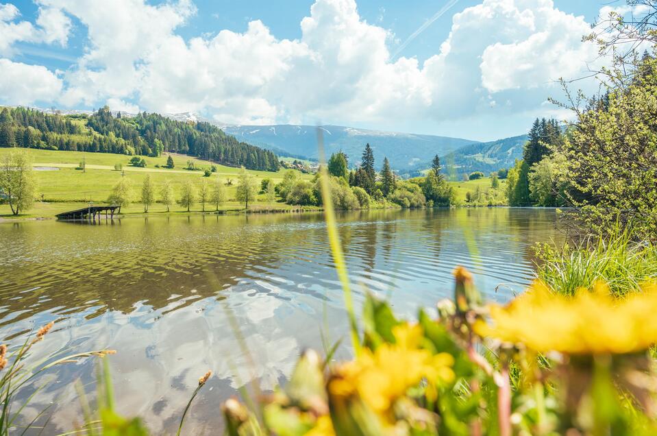 Badesee Mühlen - Impression #1 | © Tourismusverband Murau