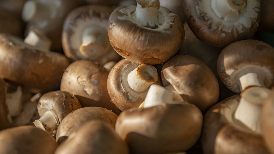 Bauernmarkt Hartberg_Champignons_Oststeiermark | © Tourismusverband Oststeiermark