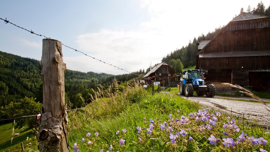 Zufahrt Bergbauernhof | © Holzwelt Murau