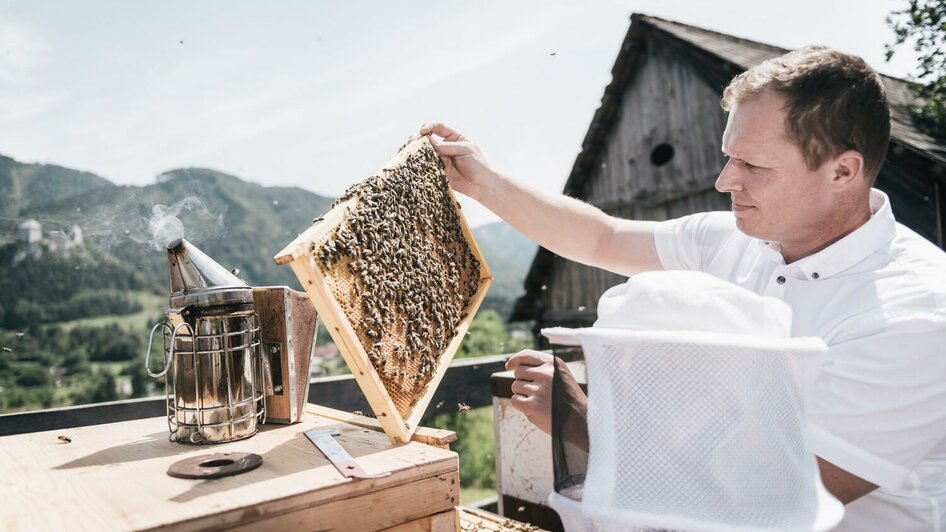 Imkerarbeit mit dem Nachwuchs | © Stefan Leitner