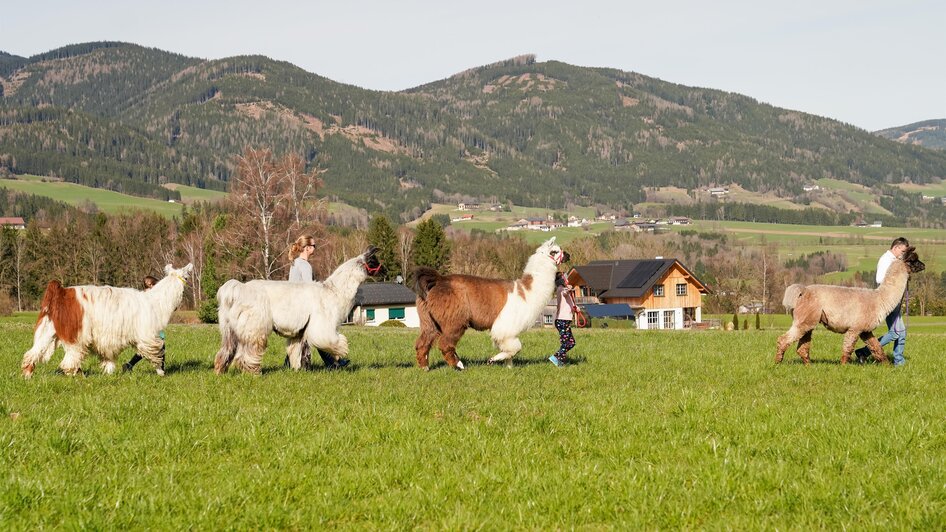 Binderhof-Wanderung1-Murtal-Steiermark | © Binderhof