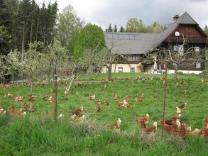 BiohofSteidl-Außenansicht1-Murtal-Steiermark | © Familie Steidl