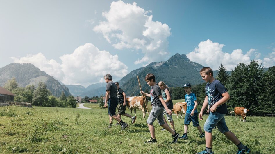 Unterwegs am Hof | © Stefan Leitner