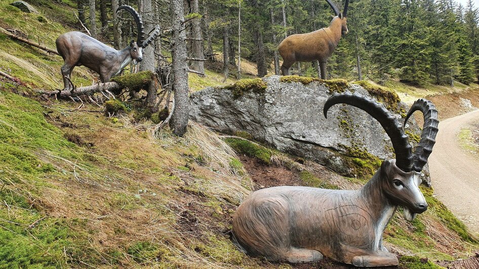 Bogenparcour Altes Almhaus Steinbock | © Bogenparcour Altes Almhaus-Wagner