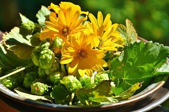 Hopfen_Blumenarrangement_Oststeiermark | © Pixabay