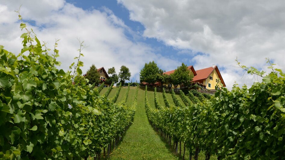 Weingut Fellner Weingarten | © Roswitha & Andreas Fellner | Weingut Fellner