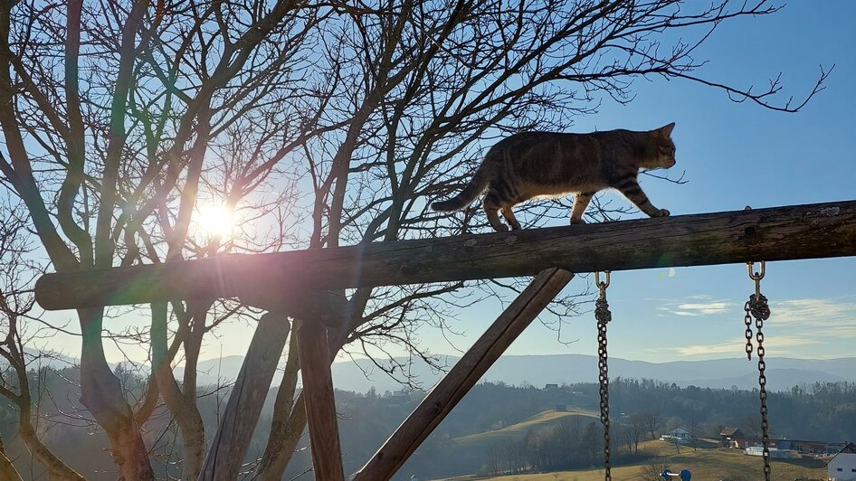 Spielplatz | © Schipferhof