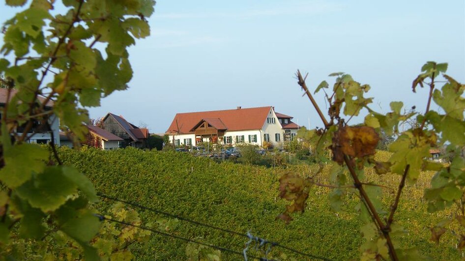 Weingut Stromeier Trobi | © Weingut Strohmeier Trobi