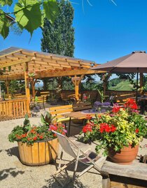Weingut Wechtitsch2 | © Weingut Wechtitsch | Weingut Wechtitsch | © Weingut Wechtitsch
