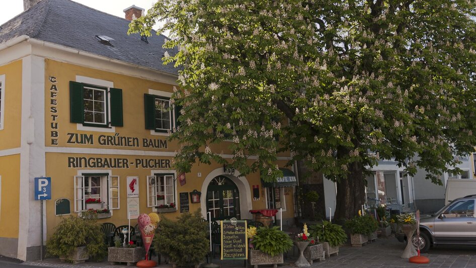 Café-Bar "Zum grünen Baum" | © Verena Haider