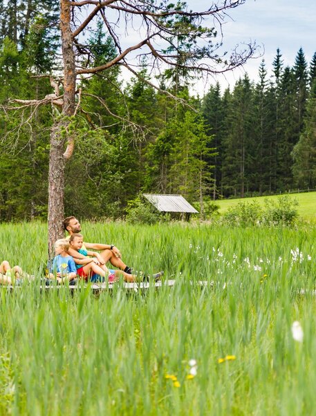 Ausflugsziel Dürnberger Moor | Mediadome | © Tourismusverband Murau