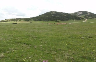 Das Schneealmplateau | © M. Ressel