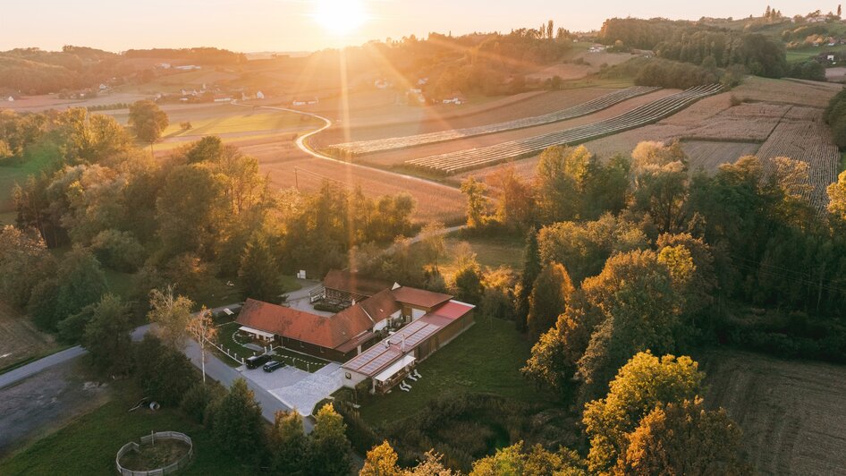 Demeterweingut Monschein in Straden - Impression #2.5