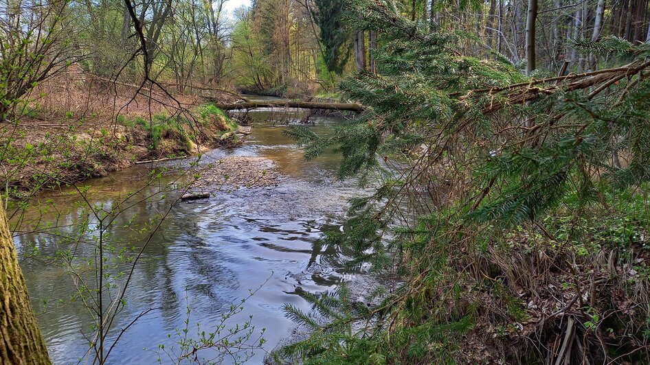 Ruhe, Natur und Wasser | © Sonja Brünner