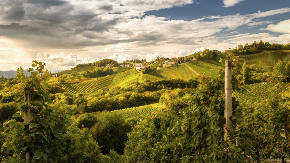 Panorama Weinstraße | © Steiermark Tourismus | Wolfgang Jauk