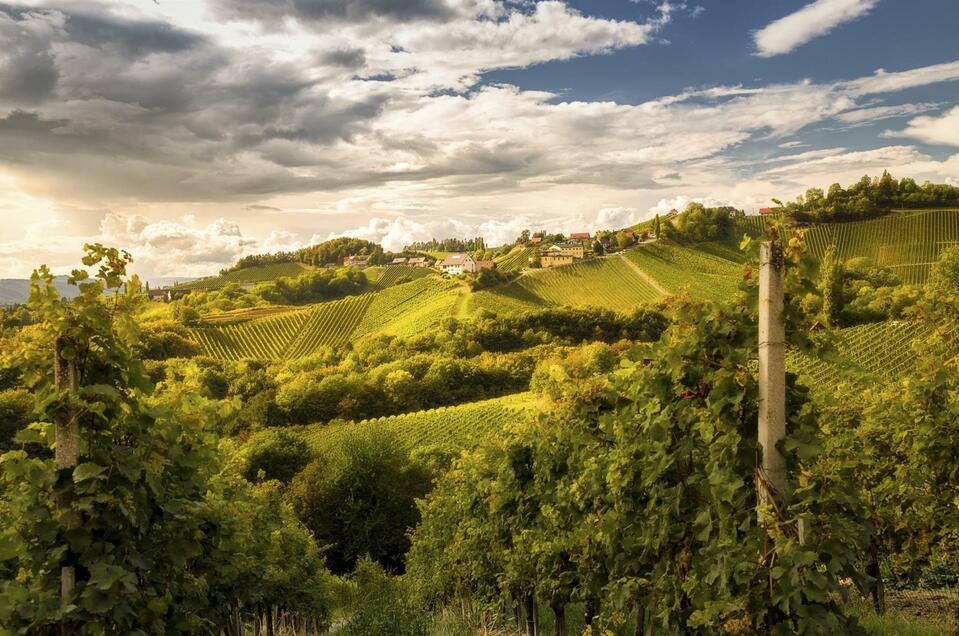 Die Südsteirische Weinstraße - Impression #1 | © Steiermark Tourismus | Wolfgang Jauk