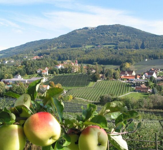 Apfelstraße_Ortsansicht_Oststeiermark | © Tourismusverband Oststeiermark | Walter Schneider | © Tourismusverband Oststeiermark