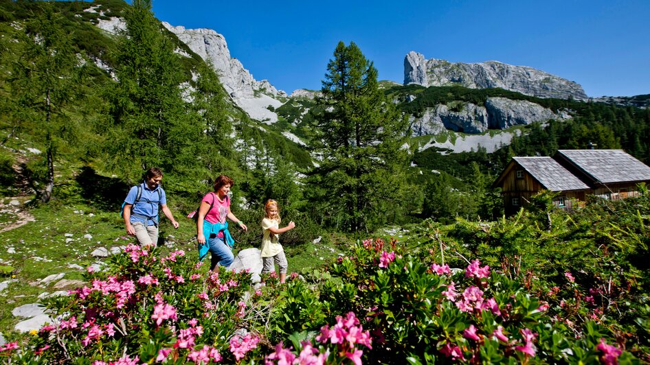 Tauplitzalm | © TVB Ausseerland Salzkammergut, Tom Lamm