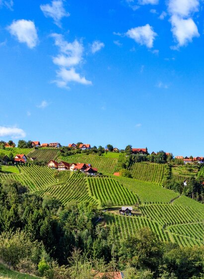 Panoramaansicht Hochgrail | TV Südsteiermark - Foto Augenblick | © TV Südsteiermark - Foto Augenblick