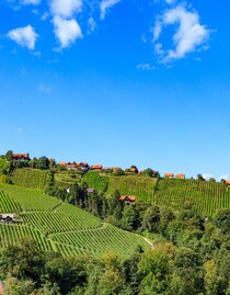 Panoramaansicht Hochgrail | Foto Augenblick | © Schilcherland Steiermark