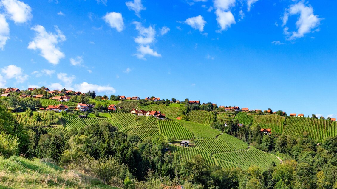 Eine malerische Hügellandschaft mit Weinbergen und kleinen Häusern. Der Himmel ist klar und blau, umgeben von grünen Bäumen. | © TV Südsteiermark - Foto Augenblick