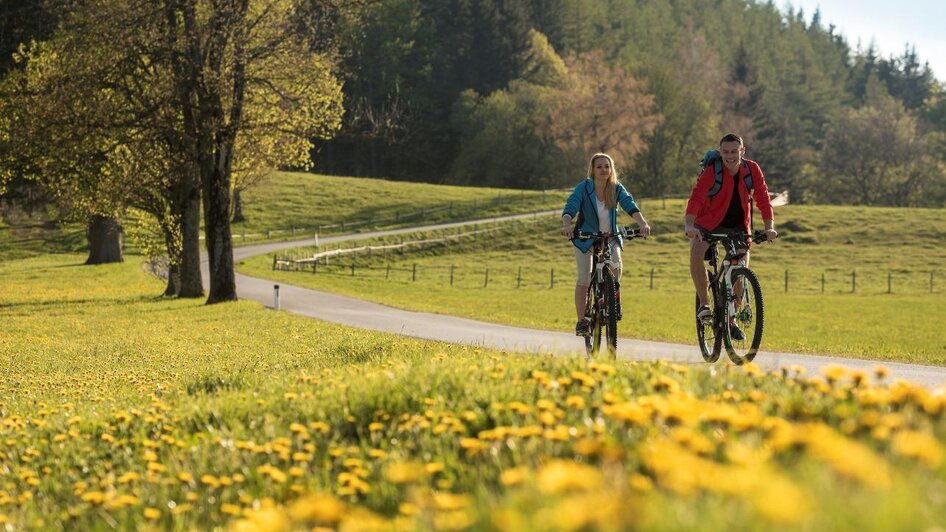 Radfahren_Oststeiermark_Bergmann | © Tourismusverband Oststeiermark