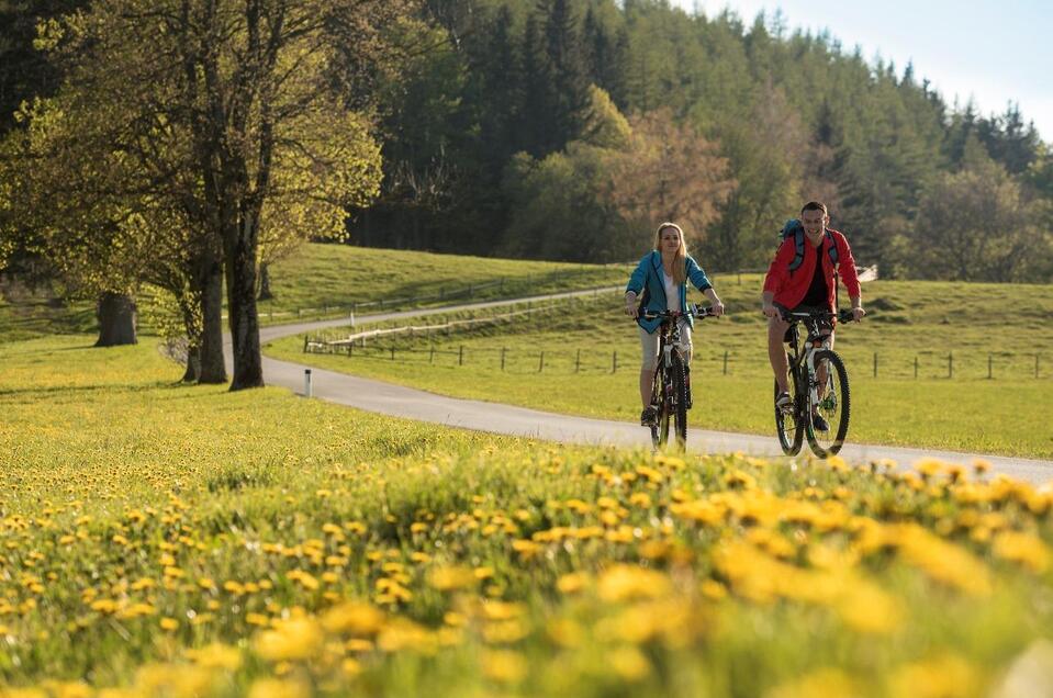 E-Bike Renting Almenland Office - Impression #1 | © Tourismusverband Oststeiermark