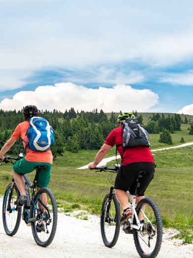 E-Bike Verleih_Radfahrer Hochwechsel_Oststeiermark | © Region Joglland - Waldheimat | Kurt Elmleitner | © Region Joglland - Waldheimat