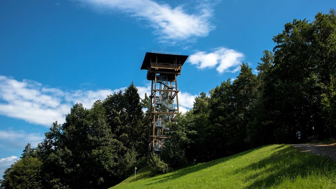 Ein Aussichtsturm steht zwischen Bäumen auf einem grünen Hügel. Der Himmel ist klar und blau mit einigen Wolken. | © Symbol