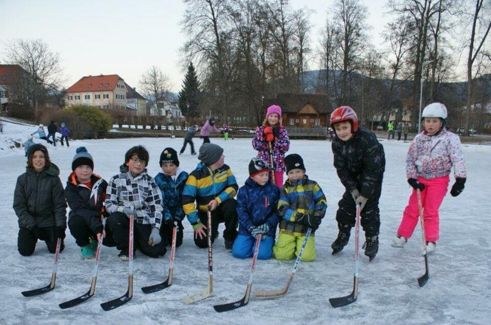 Eislaufen Auparkteich Pöllau - Impression #1 | © Tourismusverband Oststeiermark