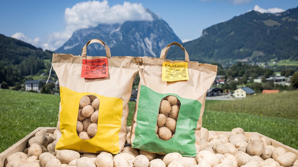 Zwei Taschen mit Kartoffeln stehen auf einem Holzkasten, umgeben von vielen weiteren Kartoffeln. Im Hintergrund sind Berge und ein klarer Himmel zu sehen. | © Netzwerk Kulinarik Wildbild
