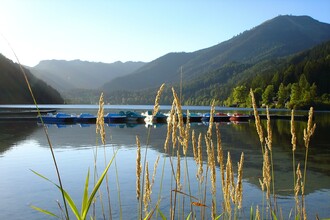 Erlaufsee Sommer | © TV Hochsteiermark