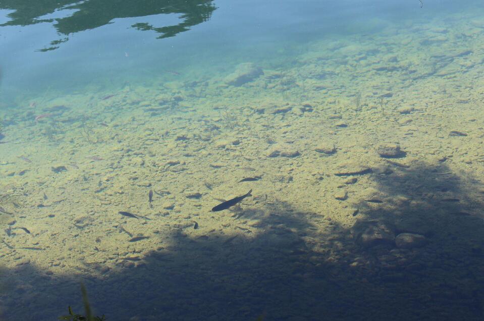 Fischen am Grundlsee - Impression #1 | © Viola Lechner